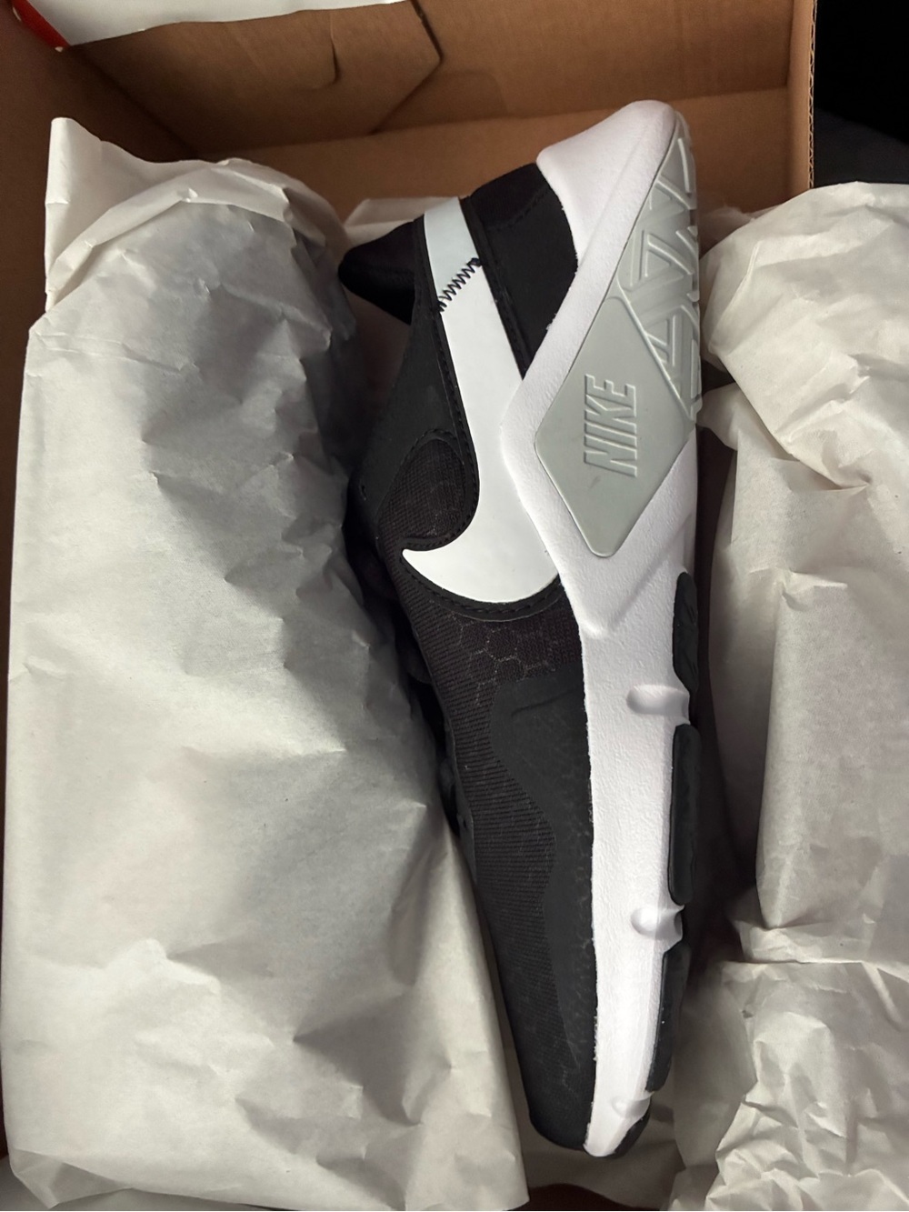 Nike Black and White Low-Top Training Shoe